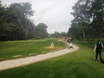 Belek_2014