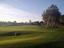 Belek_2014