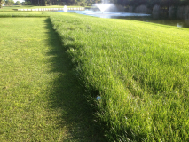 2014_Belek_podzim